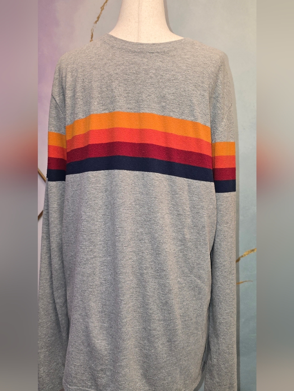Heather Gray Long Sleeve Tee Shirt Rainbow Gradient Stripe Crewneck Goodfellow M